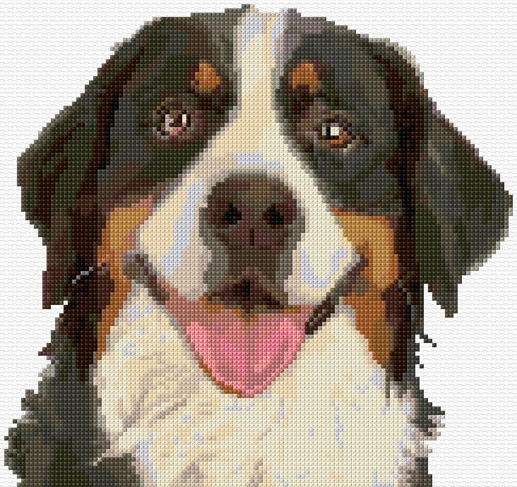 Dog free cross-stitch pattern