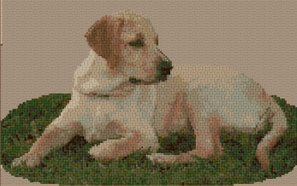 Labrador free cross-stitch pattern