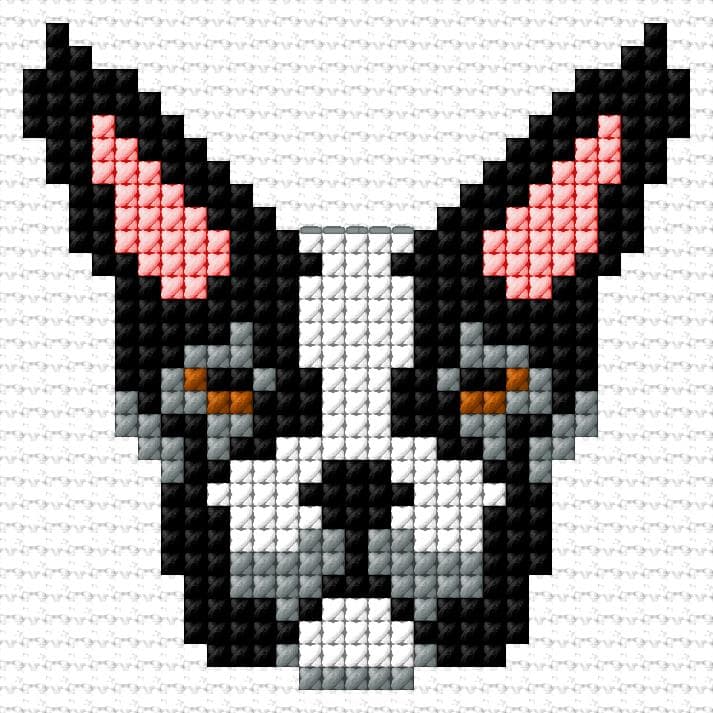 Boston Terrier free cross-stitch pattern