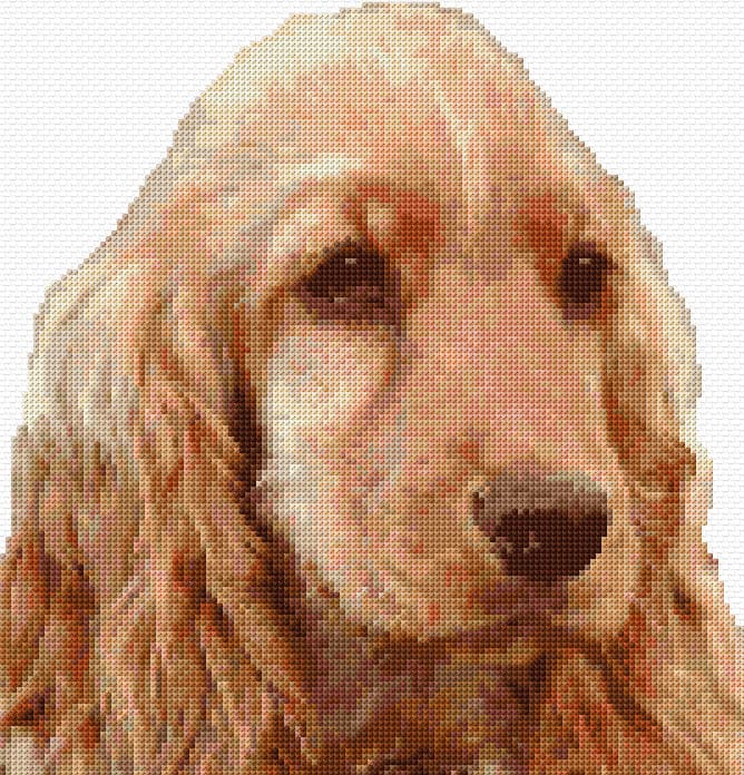 Spaniel free cross-stitch pattern