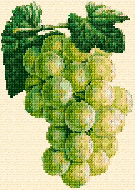 Grapes free cross-stitch pattern