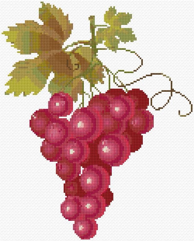 Grapes free cross-stitch pattern