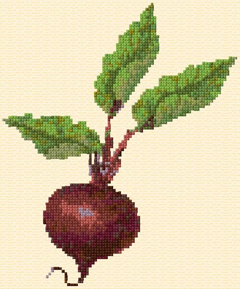 Beet free cross-stitch pattern