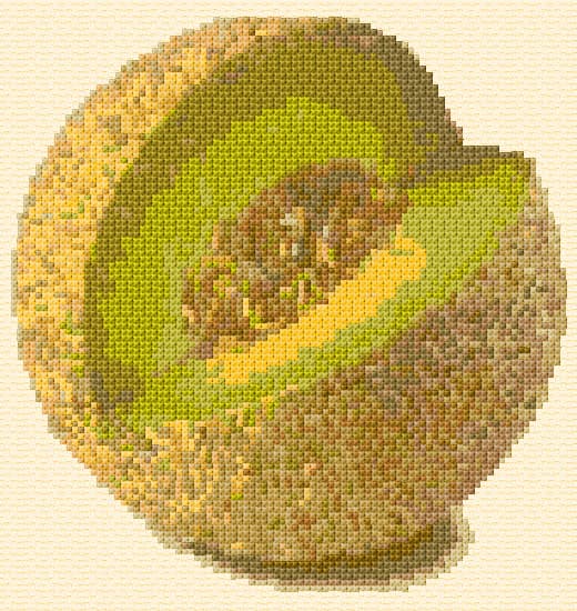 Melon free cross-stitch pattern