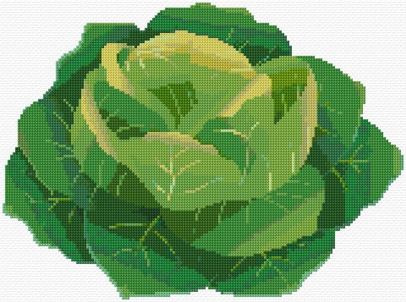 Cabbage free cross-stitch pattern