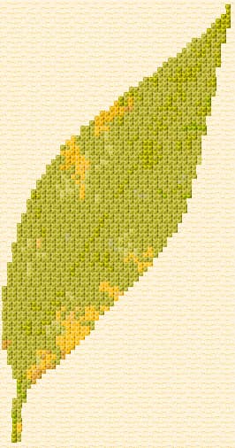 Autumn Willow Leaf free cross-stitch pattern