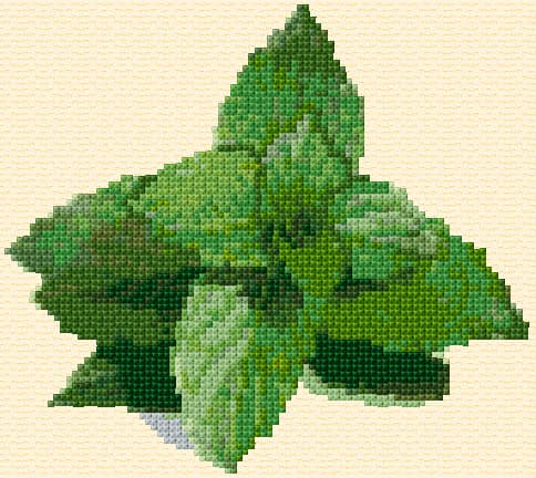 Mint Leaves free cross-stitch pattern