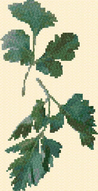 Parsley free cross-stitch pattern