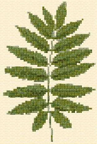 Rowan Leaf free cross-stitch pattern