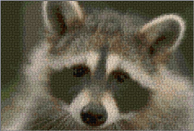 Raccoon free cross-stitch pattern