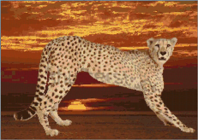 Cheetah free cross-stitch pattern