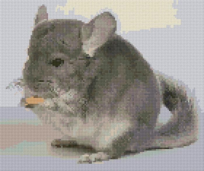 Chinchilla free cross-stitch pattern