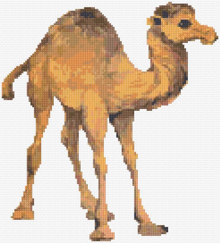Camel Colt free cross-stitch pattern