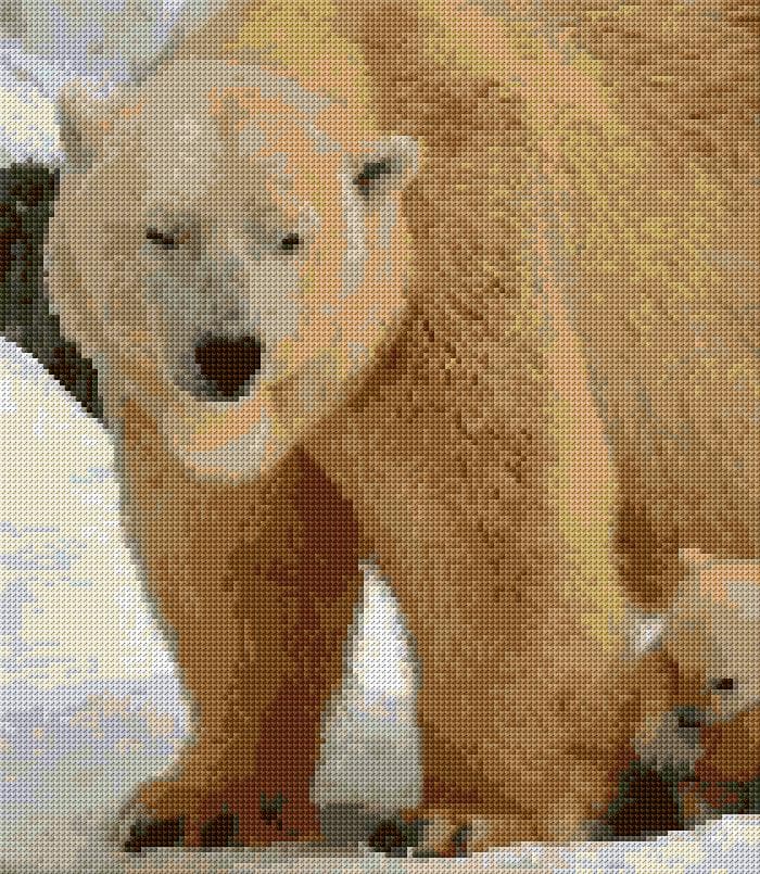 Polar Bear free cross-stitch pattern