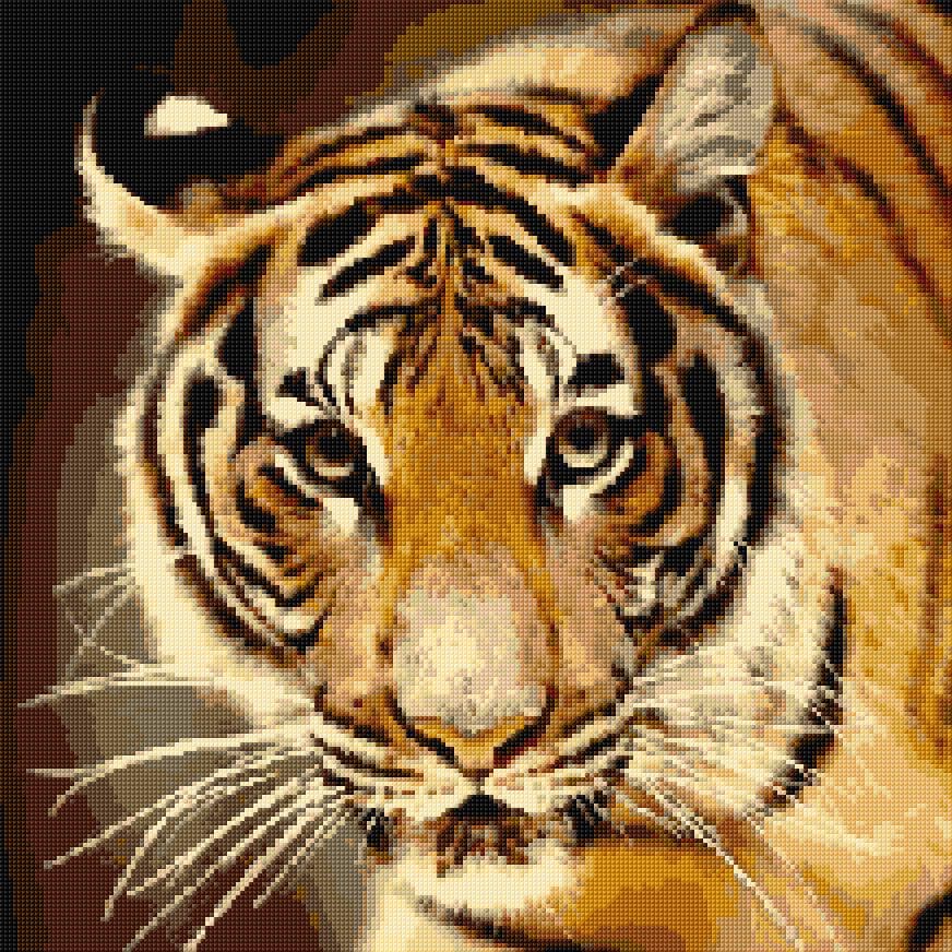 Tiger free cross-stitch pattern