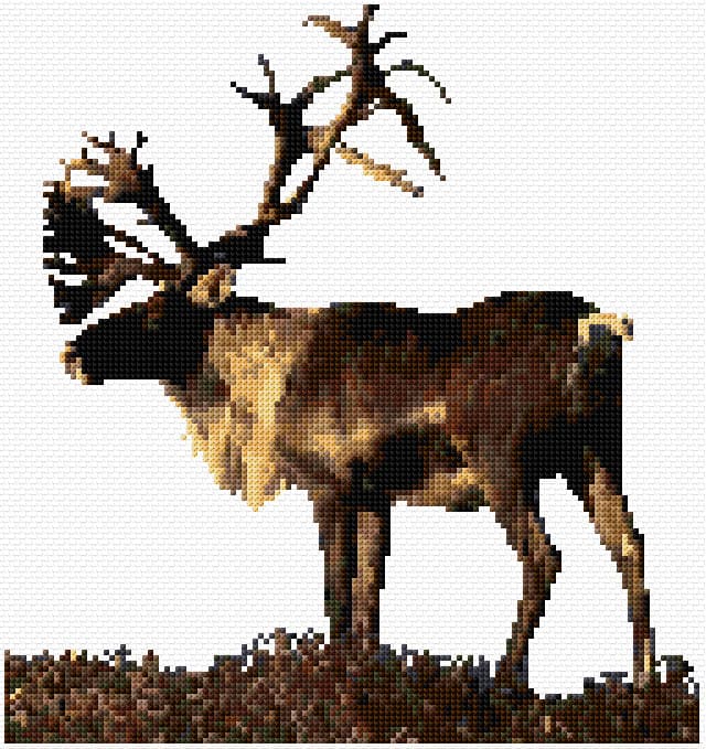 Arctic Deer free cross-stitch pattern