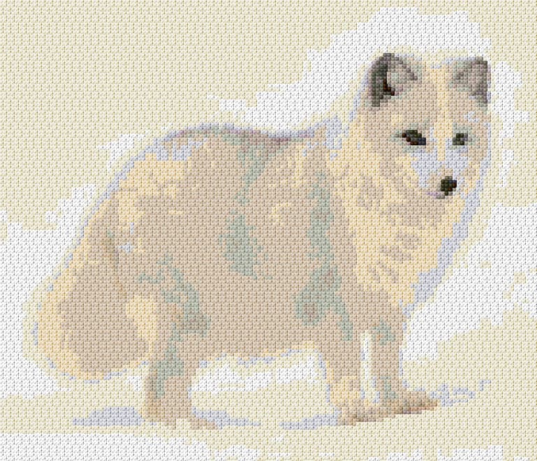 Arctic Fox free cross-stitch pattern