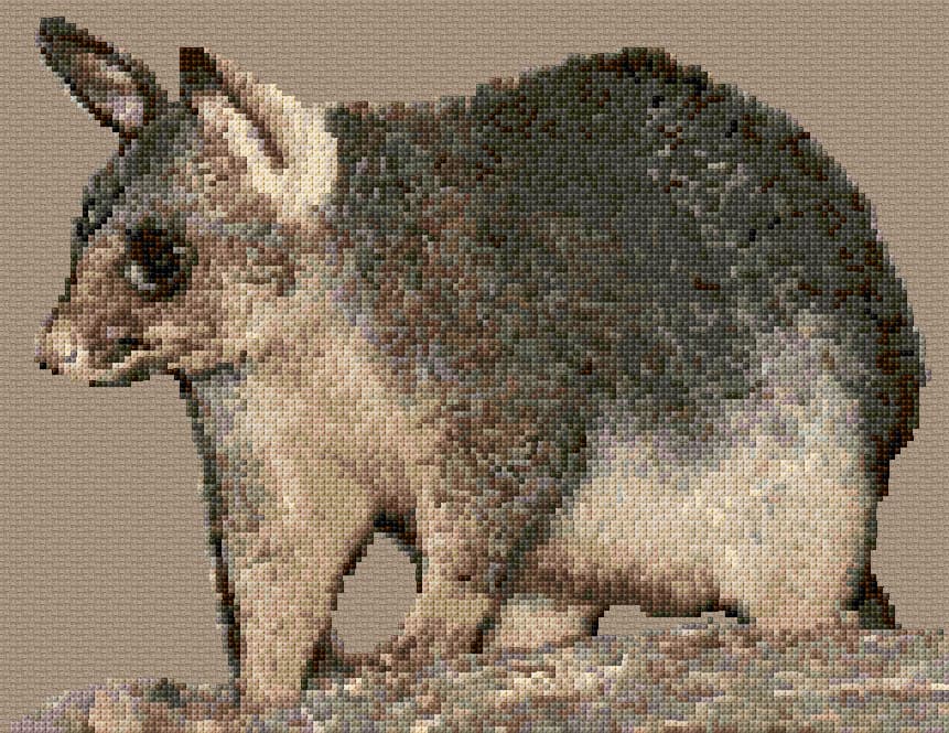 Opossum free cross-stitch pattern