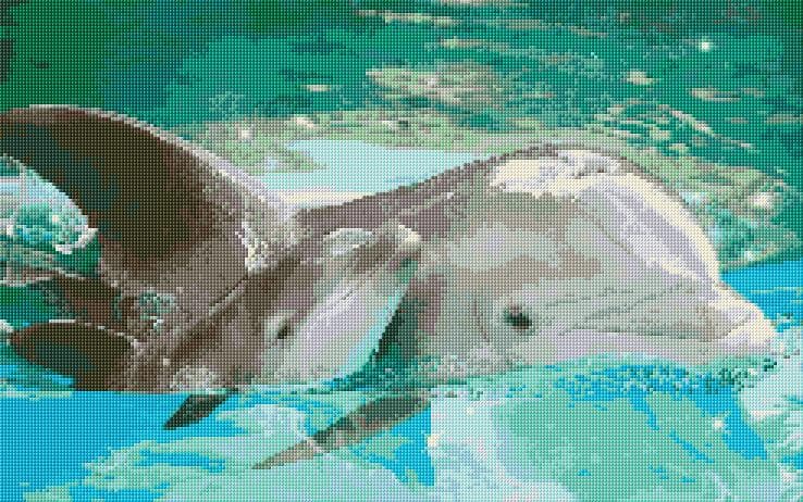 Dolphins free cross-stitch pattern