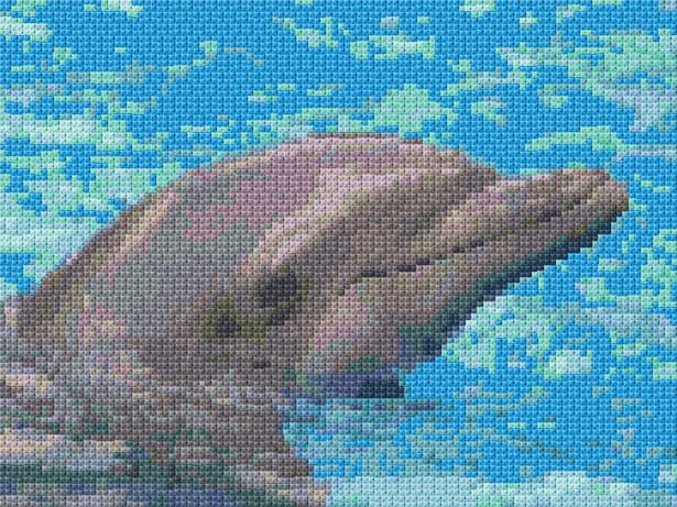 Dolpin free cross-stitch pattern