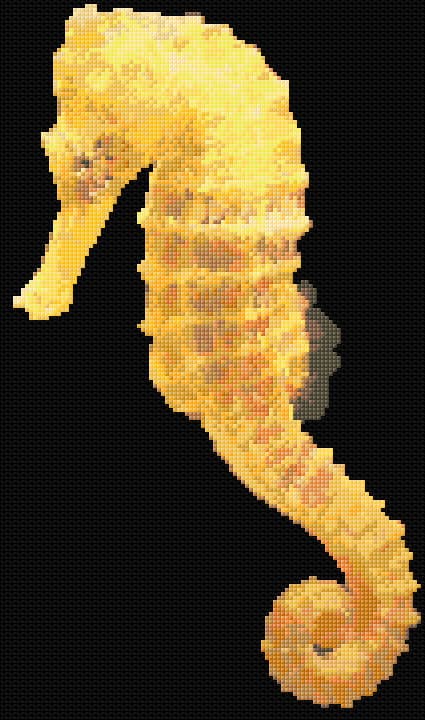 Seahorse free cross-stitch pattern
