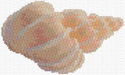 Sea Shell 3 free cross-stitch pattern