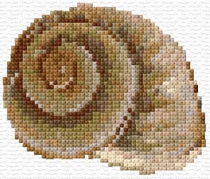 Sea Shell 5 free cross-stitch pattern
