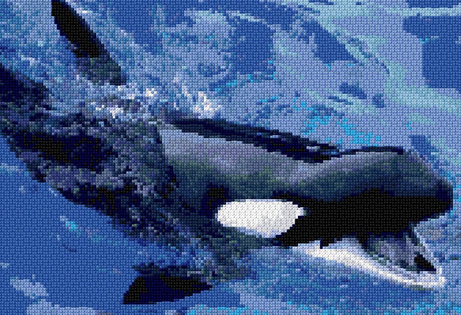 Killer Whale free cross-stitch pattern