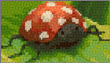 Ladybug free cross-stitch pattern
