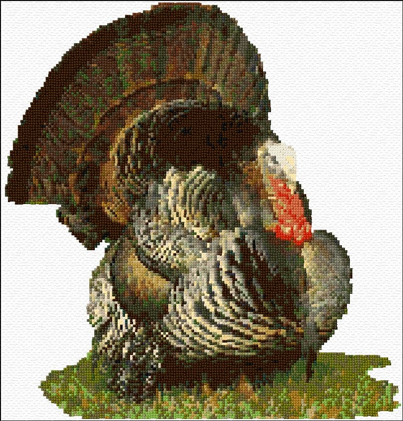 Turkey free cross-stitch pattern