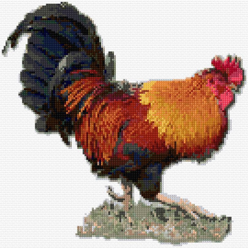Rooster free cross-stitch pattern