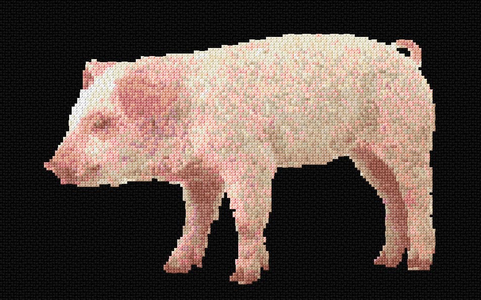 Pig free cross-stitch pattern