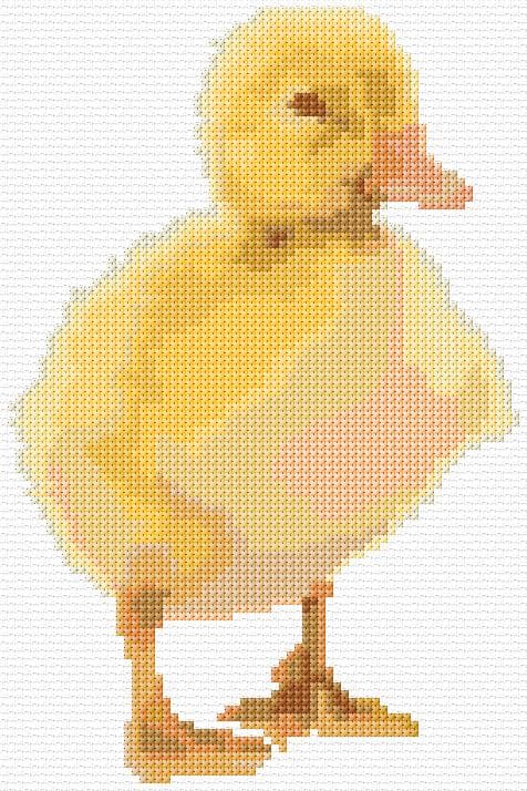 Duckling free cross-stitch pattern