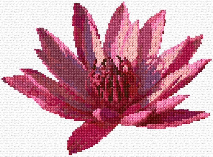 Purple Lotus free cross-stitch pattern