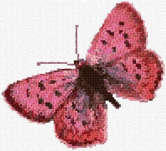 Butterfly free cross-stitch pattern