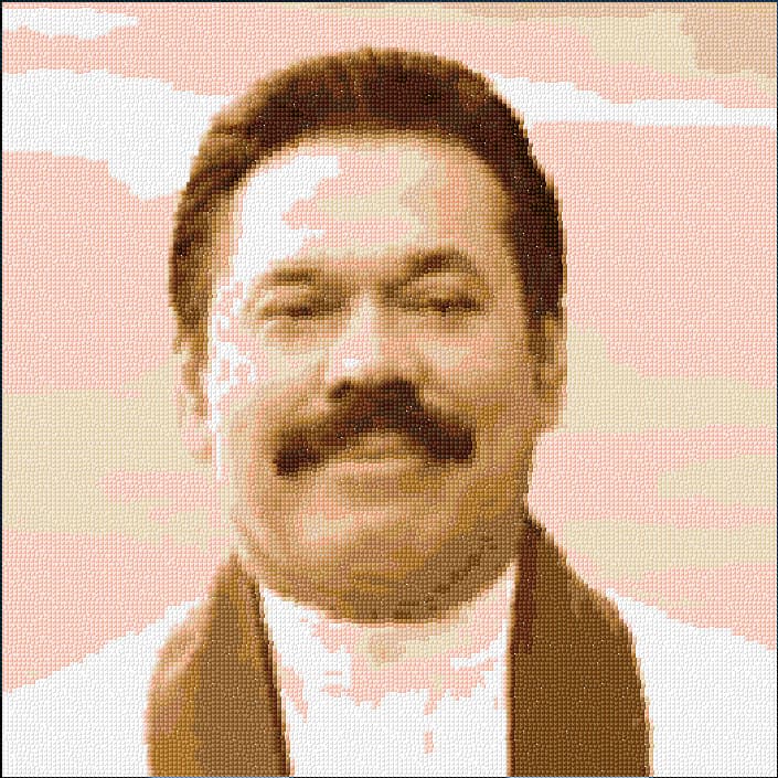 Mahinda Rajapakse free cross-stitch pattern