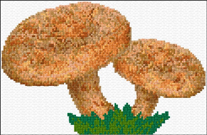 Saffron Milk Cap free cross-stitch pattern