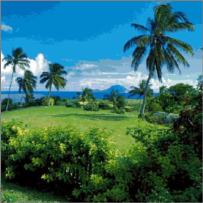 Beauty free cross-stitch pattern