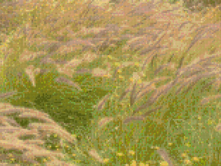 Clearing1 - Kit free cross-stitch pattern