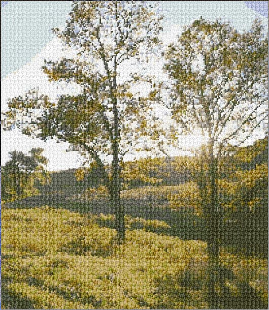 Summer Day free cross-stitch pattern