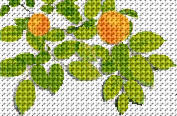 Oranges free cross-stitch pattern