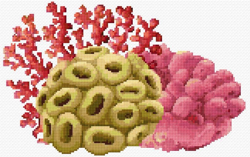 Coral Reef free cross-stitch pattern