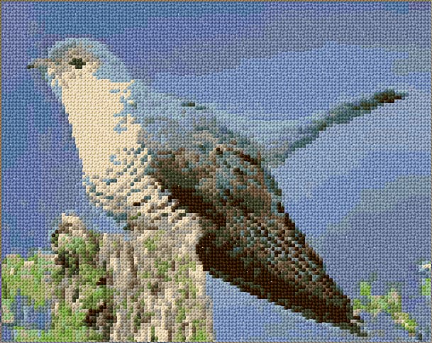 Cuckoo Bird free cross-stitch pattern