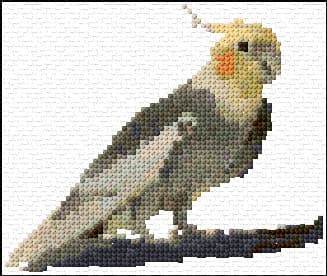 Cockatiell free cross-stitch pattern