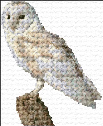 Barn Owl free cross-stitch pattern