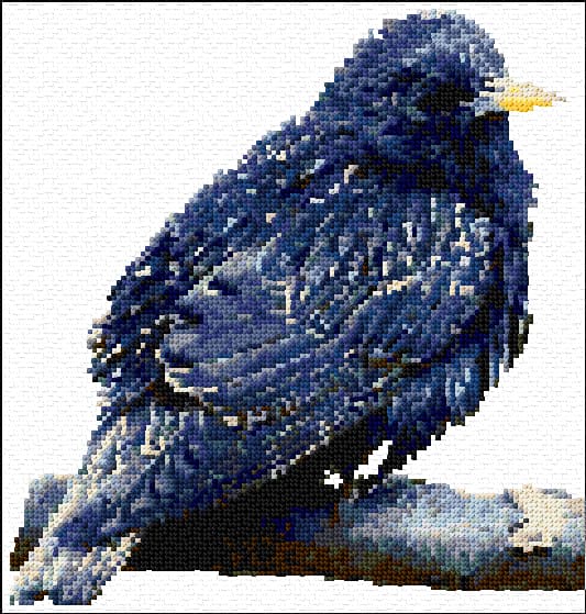 Starling free cross-stitch pattern