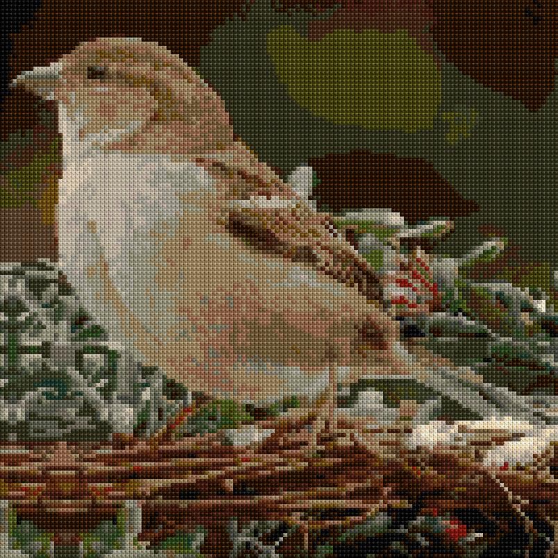 Sparrow free cross-stitch pattern