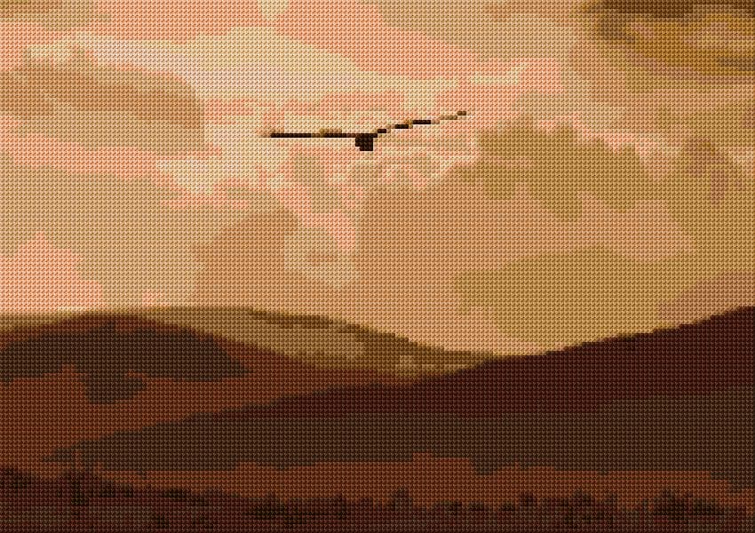 Bird Flight free cross-stitch pattern