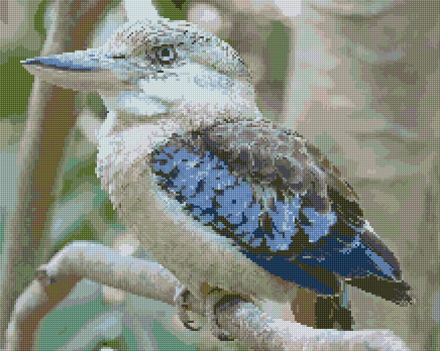 Kookaburra free cross-stitch pattern