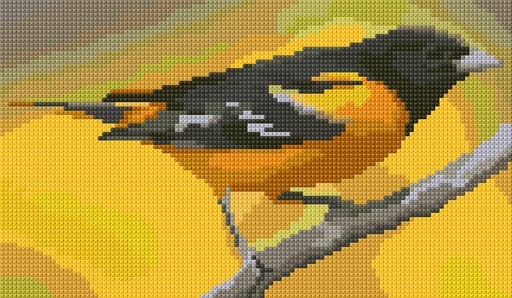 Baltimore Oriole free cross-stitch pattern